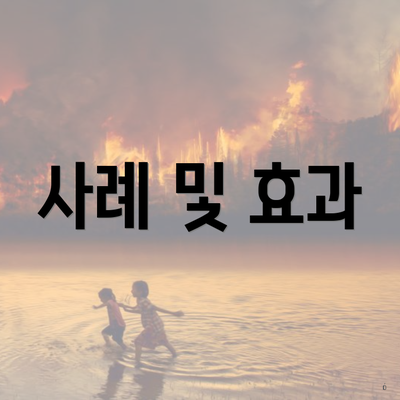 사례 및 효과