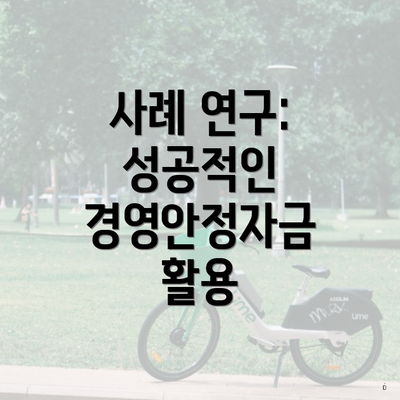 사례 연구: 성공적인 경영안정자금 활용