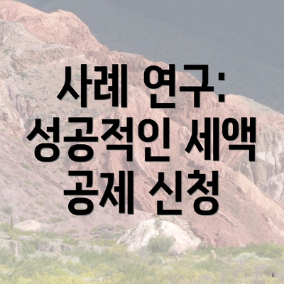 사례 연구: 성공적인 세액 공제 신청