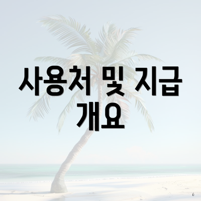 사용처 및 지급 개요