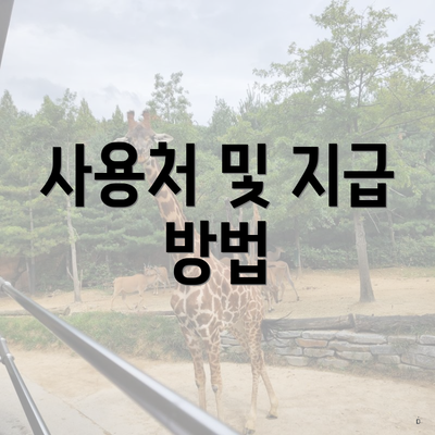 사용처 및 지급 방법