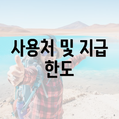 사용처 및 지급 한도