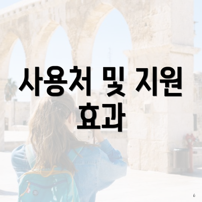 사용처 및 지원 효과