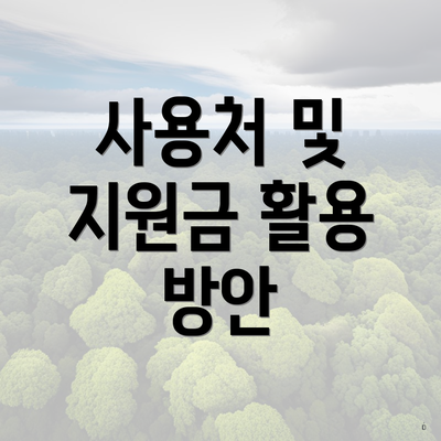 사용처 및 지원금 활용 방안