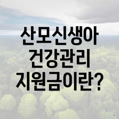 산모신생아 건강관리 지원금이란?