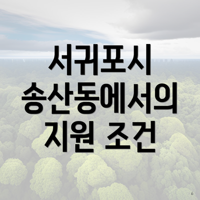 서귀포시 송산동에서의 지원 조건
