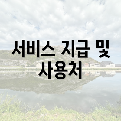 서비스 지급 및 사용처