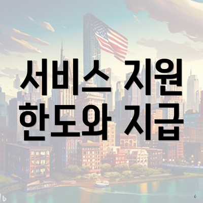 서비스 지원 한도와 지급
