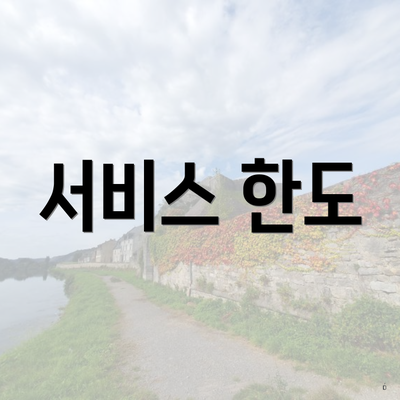 서비스 한도