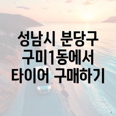 성남시 분당구 구미1동에서 타이어 구매하기