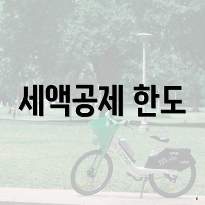 세액공제 한도