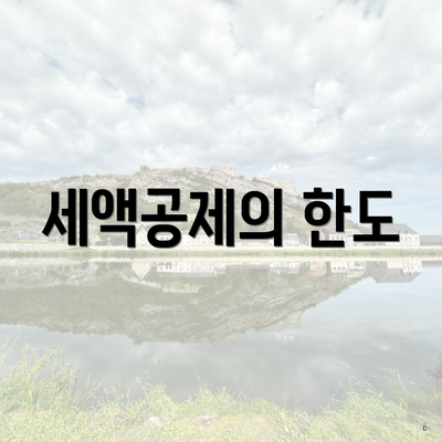 세액공제의 한도