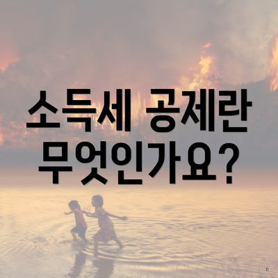 소득세 공제란 무엇인가요?