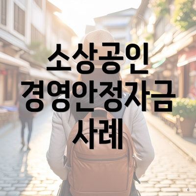 소상공인 경영안정자금 사례