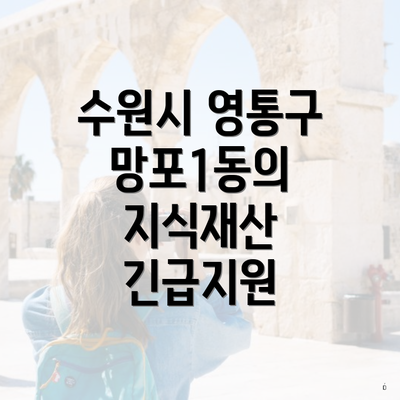수원시 영통구 망포1동의 지식재산 긴급지원