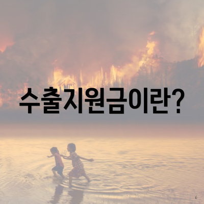 수출지원금이란?