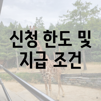 신청 한도 및 지급 조건