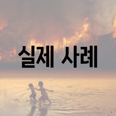 실제 사례