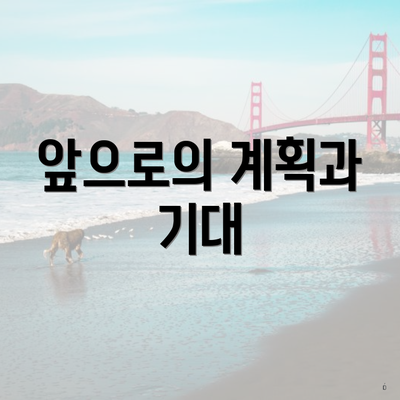 앞으로의 계획과 기대