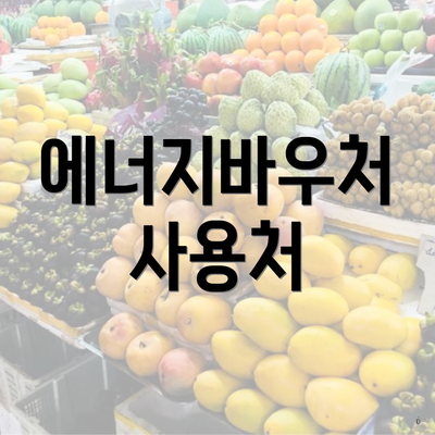 에너지바우처 사용처