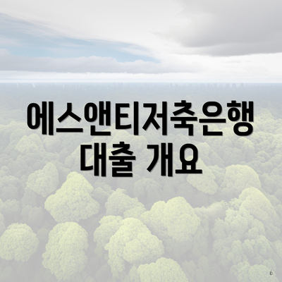 에스앤티저축은행 대출 개요