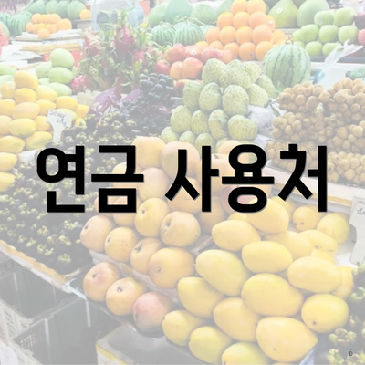 연금 사용처