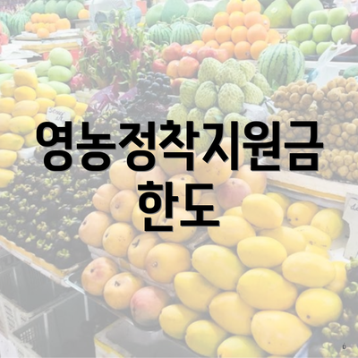 영농정착지원금 한도