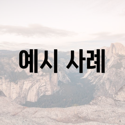 예시 사례