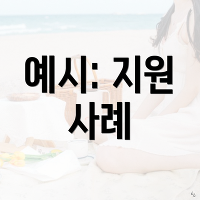 예시: 지원 사례