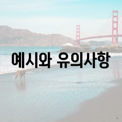 예시와 유의사항
