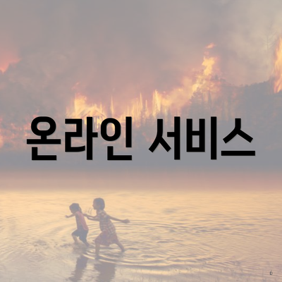 온라인 서비스