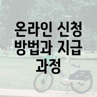 온라인 신청 방법과 지급 과정