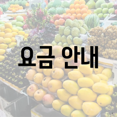 요금 안내
