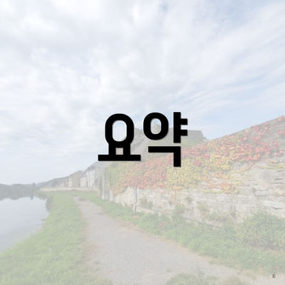 요약