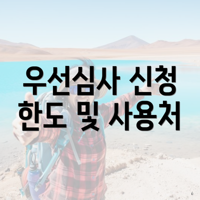 우선심사 신청 한도 및 사용처