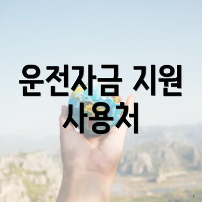 운전자금 지원 사용처