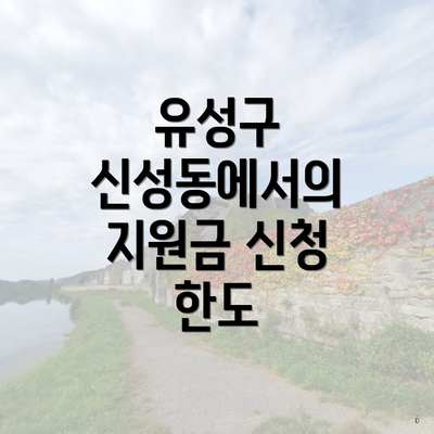 유성구 신성동에서의 지원금 신청 한도