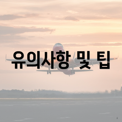 유의사항 및 팁