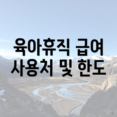 육아휴직 급여 사용처 및 한도