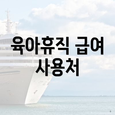 육아휴직 급여 사용처
