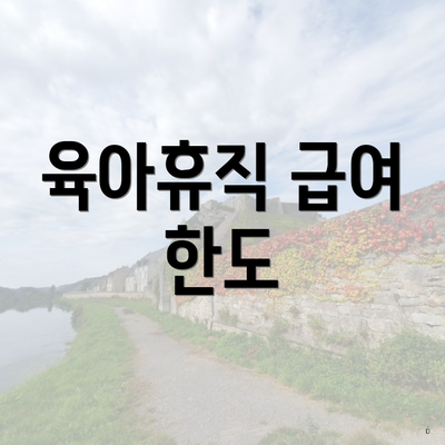 육아휴직 급여 한도
