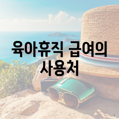 육아휴직 급여의 사용처