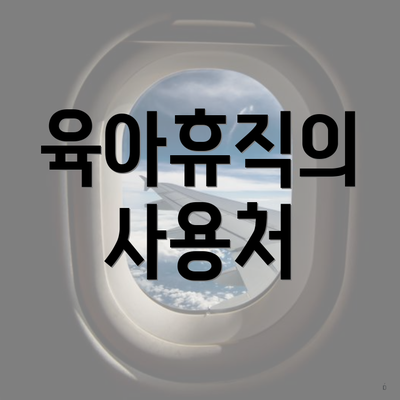육아휴직의 사용처