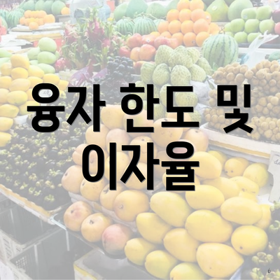 융자 한도 및 이자율