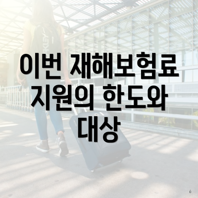 이번 재해보험료 지원의 한도와 대상