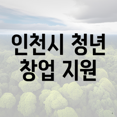 인천시 청년 창업 지원