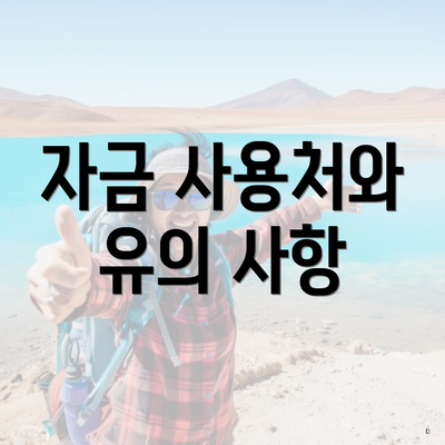 자금 사용처와 유의 사항