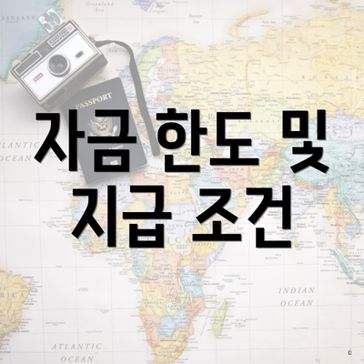 자금 한도 및 지급 조건