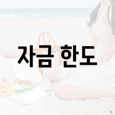 자금 한도