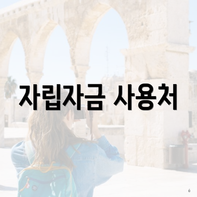자립자금 사용처